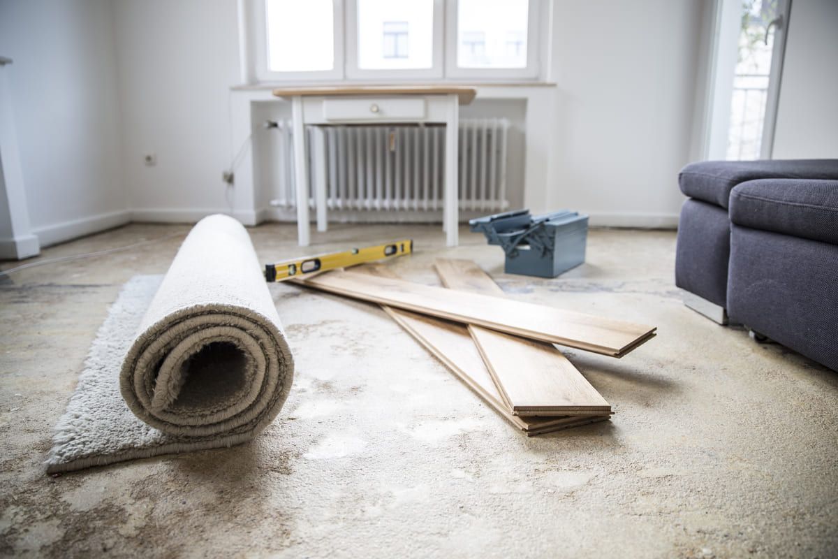 renovation-of-a-living-room-2024-09-23-02-08-02-utc (1) (1).jpg