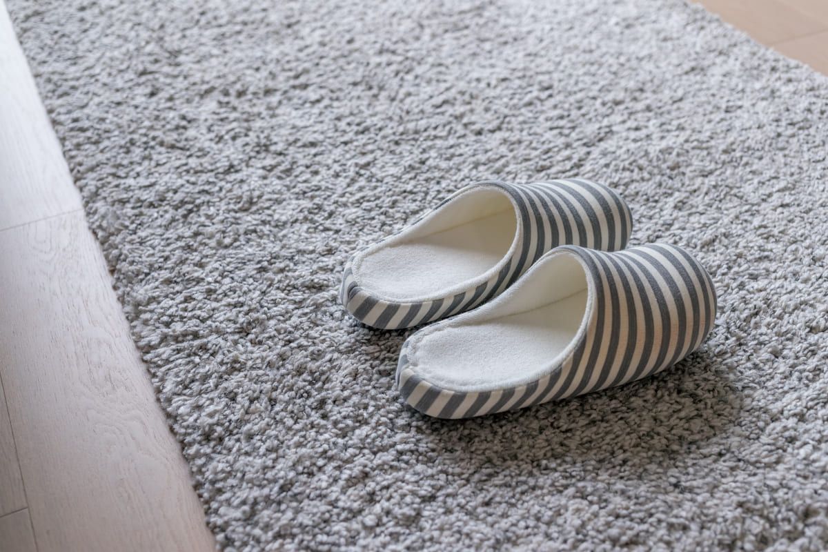 slipper-on-grey-carpet-on-floor-at-home-2025-03-25-07-04-50-utc (1) (1).jpg