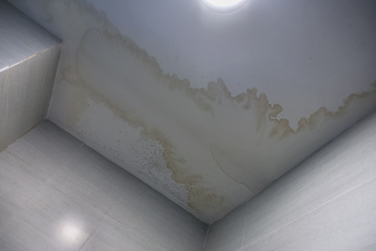 water-stain-on-the-ceiling-2024-12-03-21-31-26-utc (1) (1).jpg